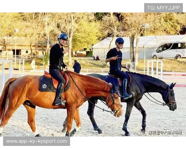 克罗地亚马术协会设立马匹福利基金，支持马匹退休生活。，克罗地亚马米奇